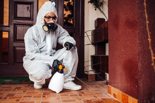 Attic and Crawl Space Rodent Treatment in Rural Hall